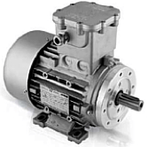 ATEX Ex IEC Motoren